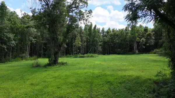 0 Rowdy Ln, Green Pond, SC 29446