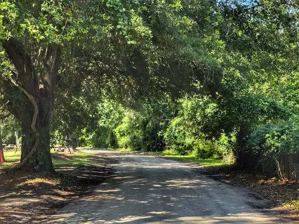 Johns Island, SC 29455,2003 Balmoral Rd