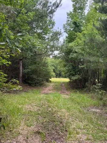 7082 M W Rickenbaker Rd, Summerton, SC 29148