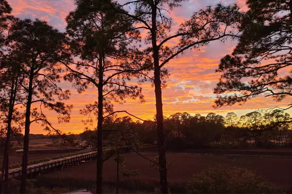 Kiawah Island, SC 29455,79 Trailing Vine Way
