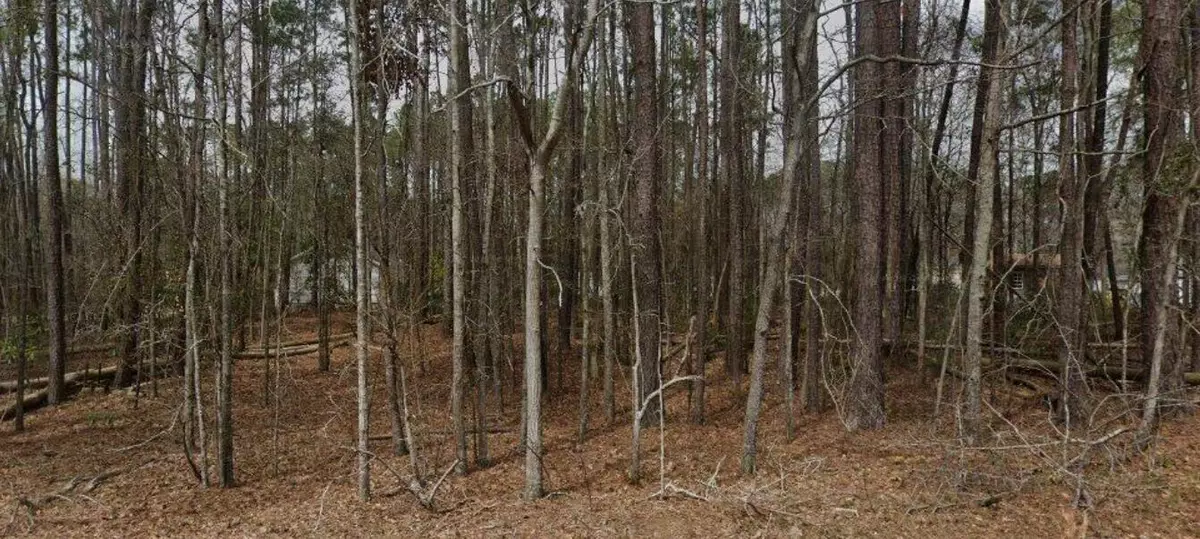 Orangeburg, SC 29115,968 Fawn Ln