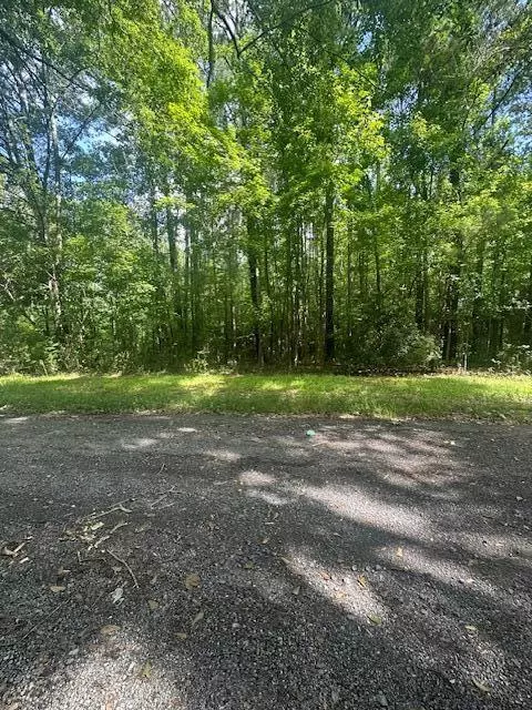 Ridgeville, SC 29472,0 Duberry Ln