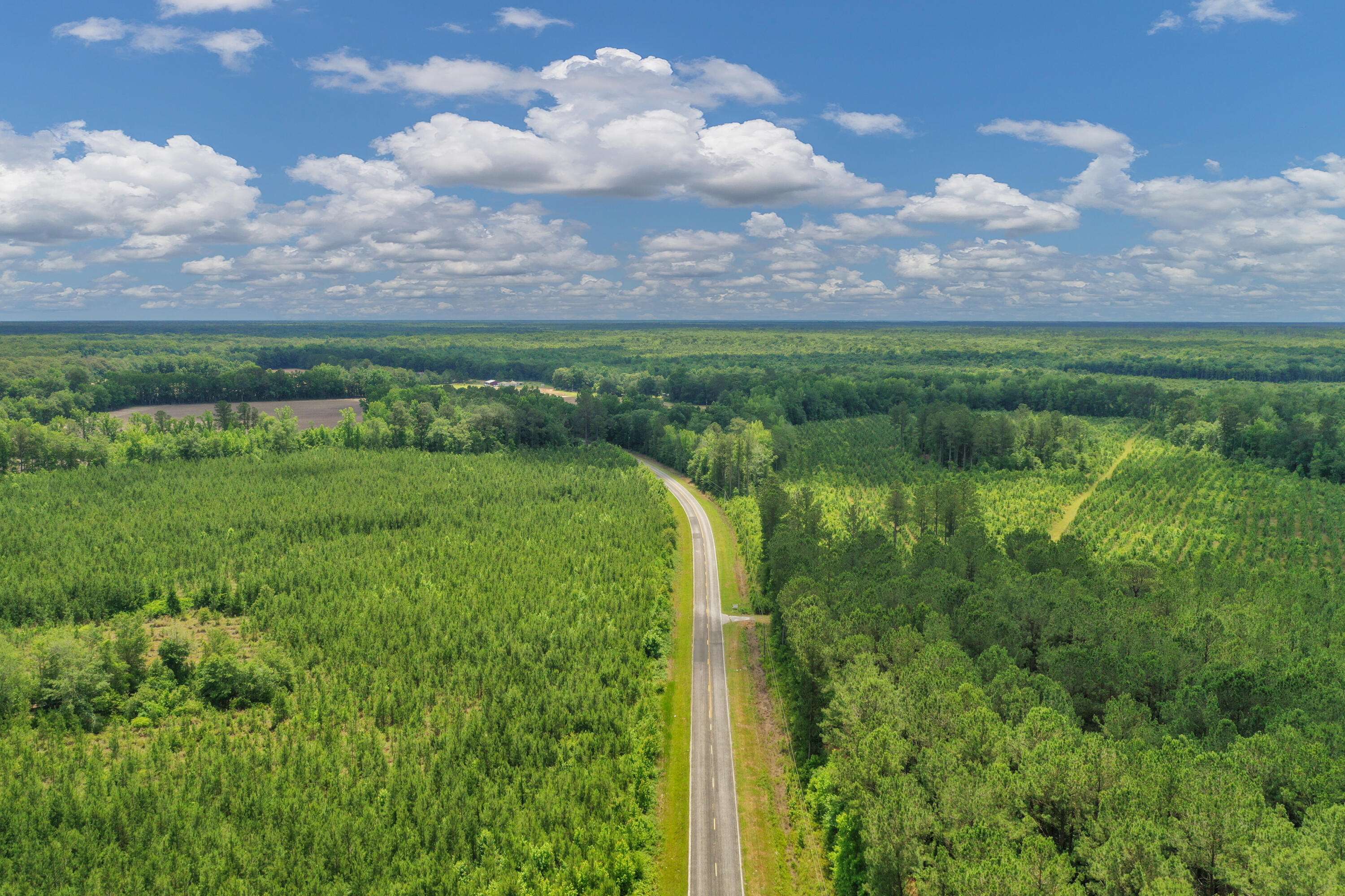 5120 N Brewington Rd #5, Manning, SC 29102