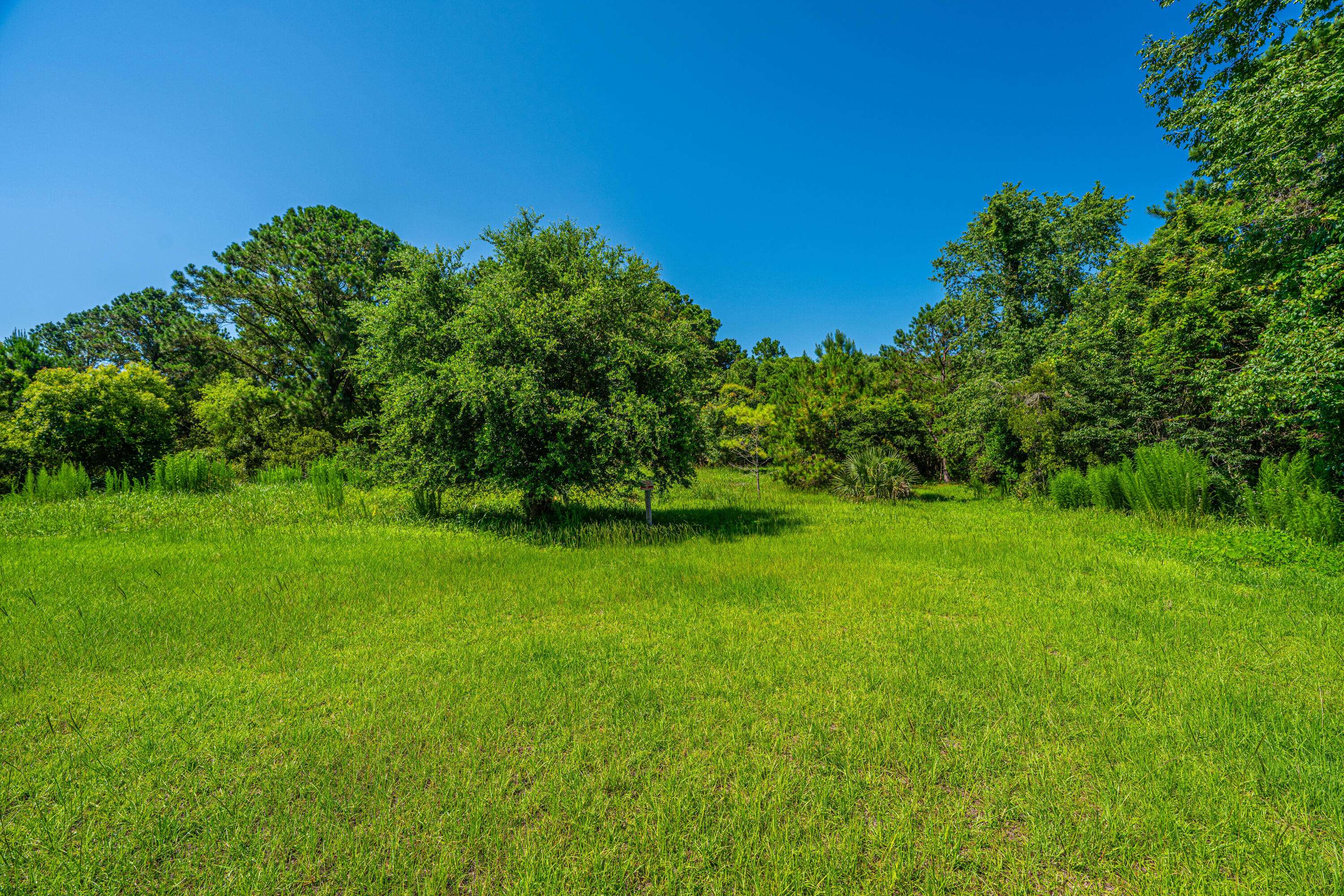 Edisto Island, SC 29438,983 Seaside Ln