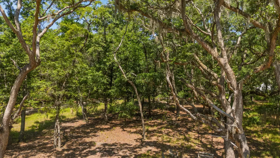31 Tupelo Trl, Edisto Island, SC 29438