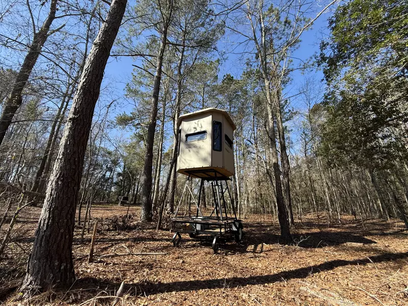 0000 Healing Springs Rd, Blackville, SC 29817