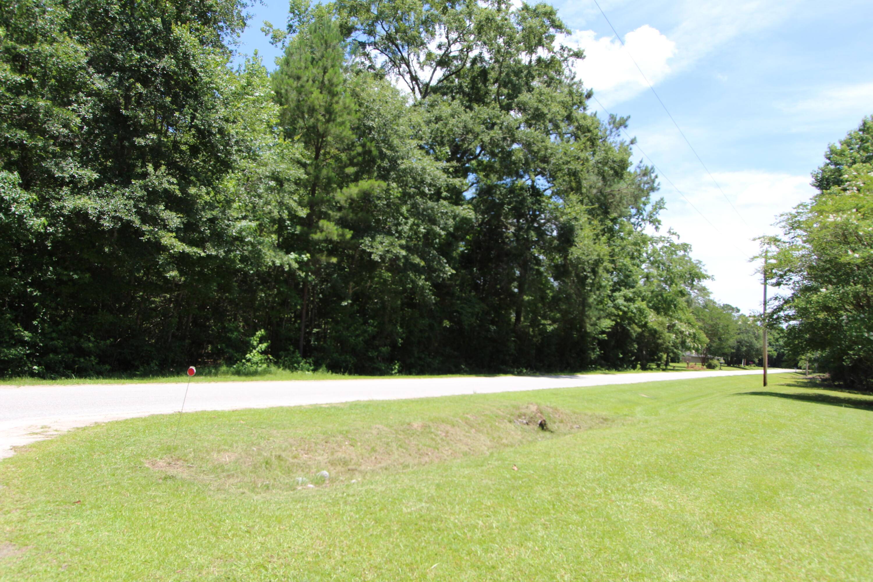 Round O, SC 29474,131 Gloverville Ln