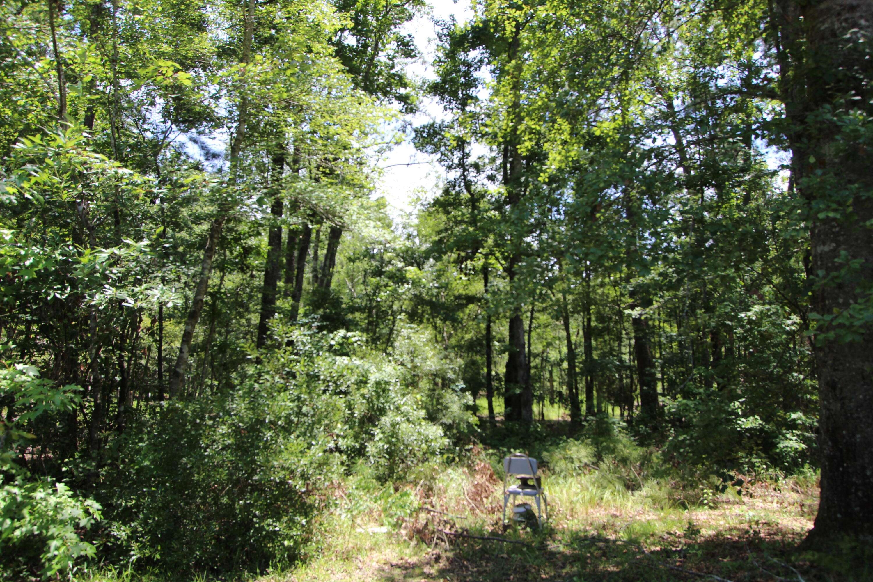 Round O, SC 29474,131 Gloverville Ln