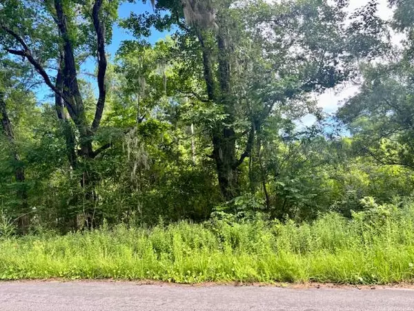 Adams Run, SC 29426,8946 Anderson Rd