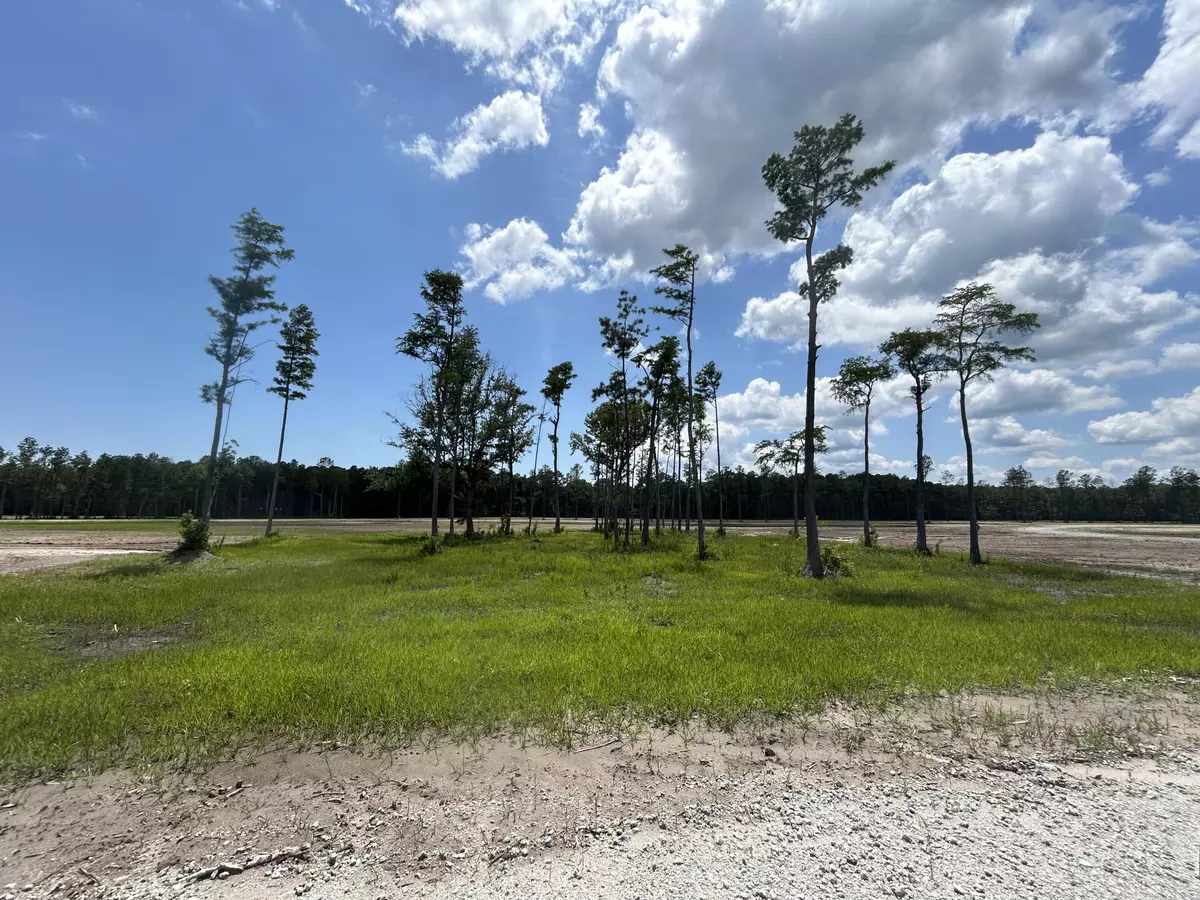 Mcclellanville, SC 29458,0 Randall Road