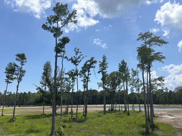 Mcclellanville, SC 29458,0 Randall Road