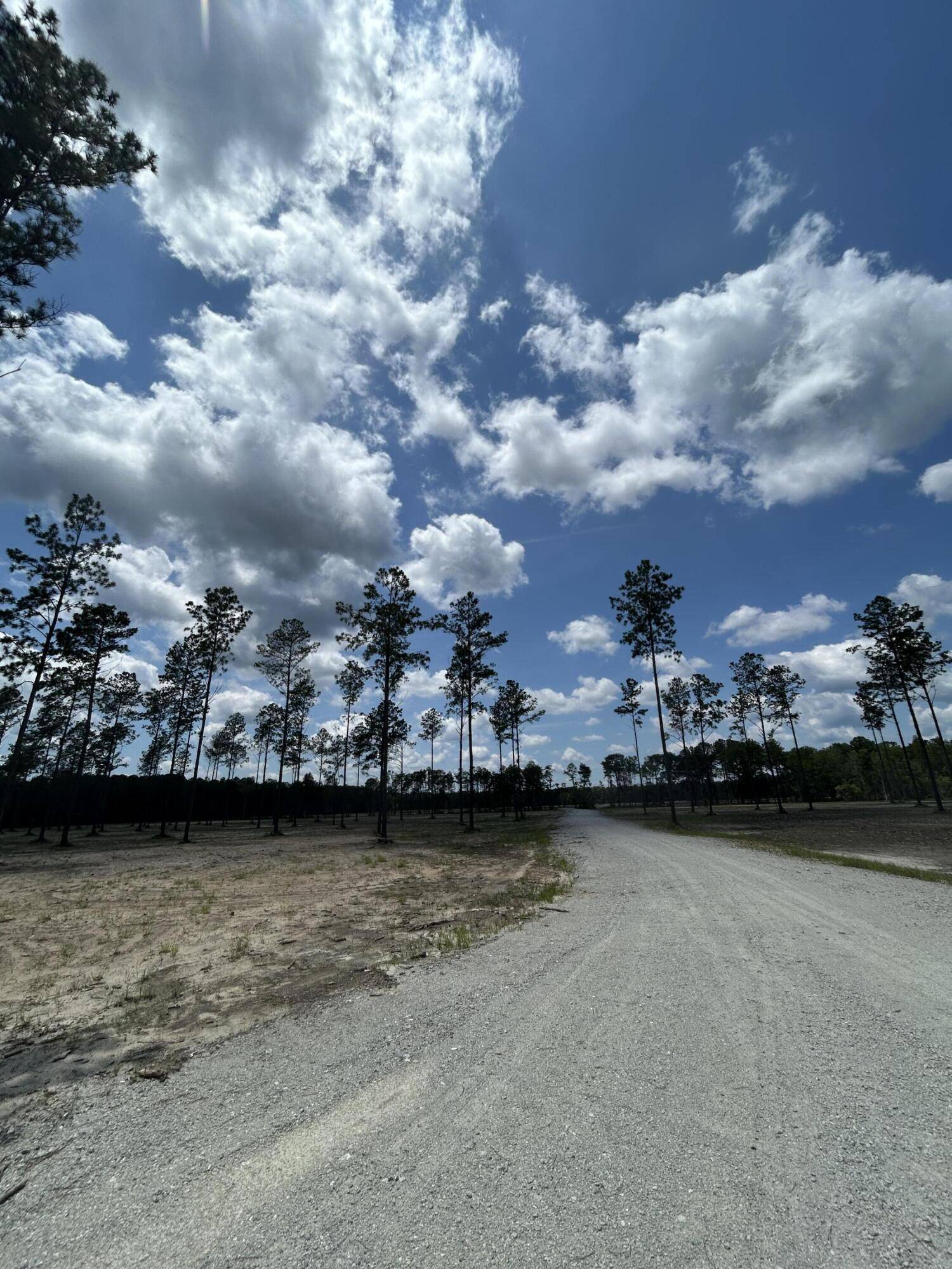 Mcclellanville, SC 29458,0 Randall Road
