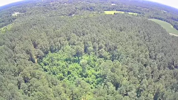 Reevesville, SC 29471,0 Nursery Rd