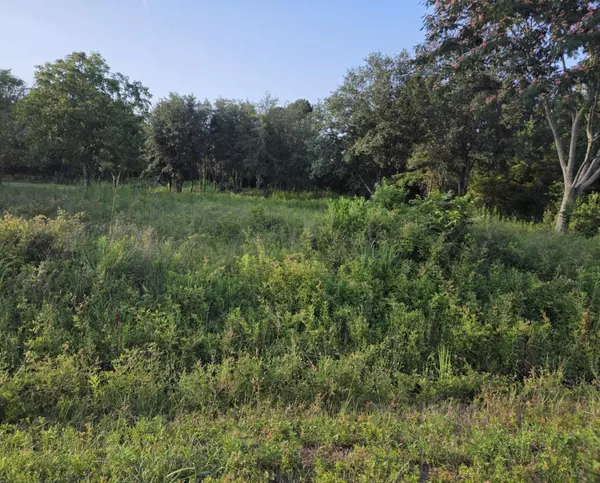 Eutawville, SC 29048,163 Moonlight Dr