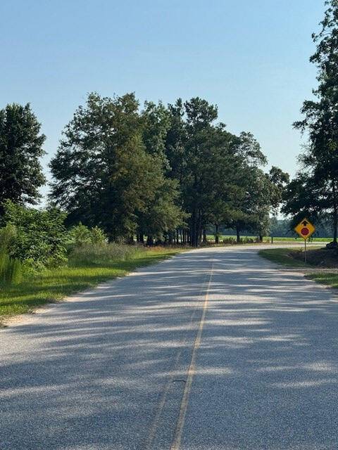 Manning, SC 29102,1096 Buchanan Rd