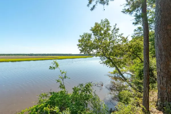 Green Pond, SC 29446,299 Tilly Pt Way ##3