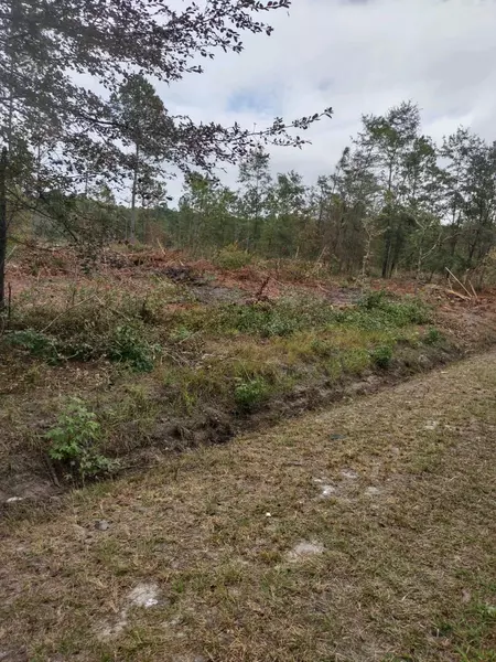 000 Rehoboth Rd, Cottageville, SC 29435