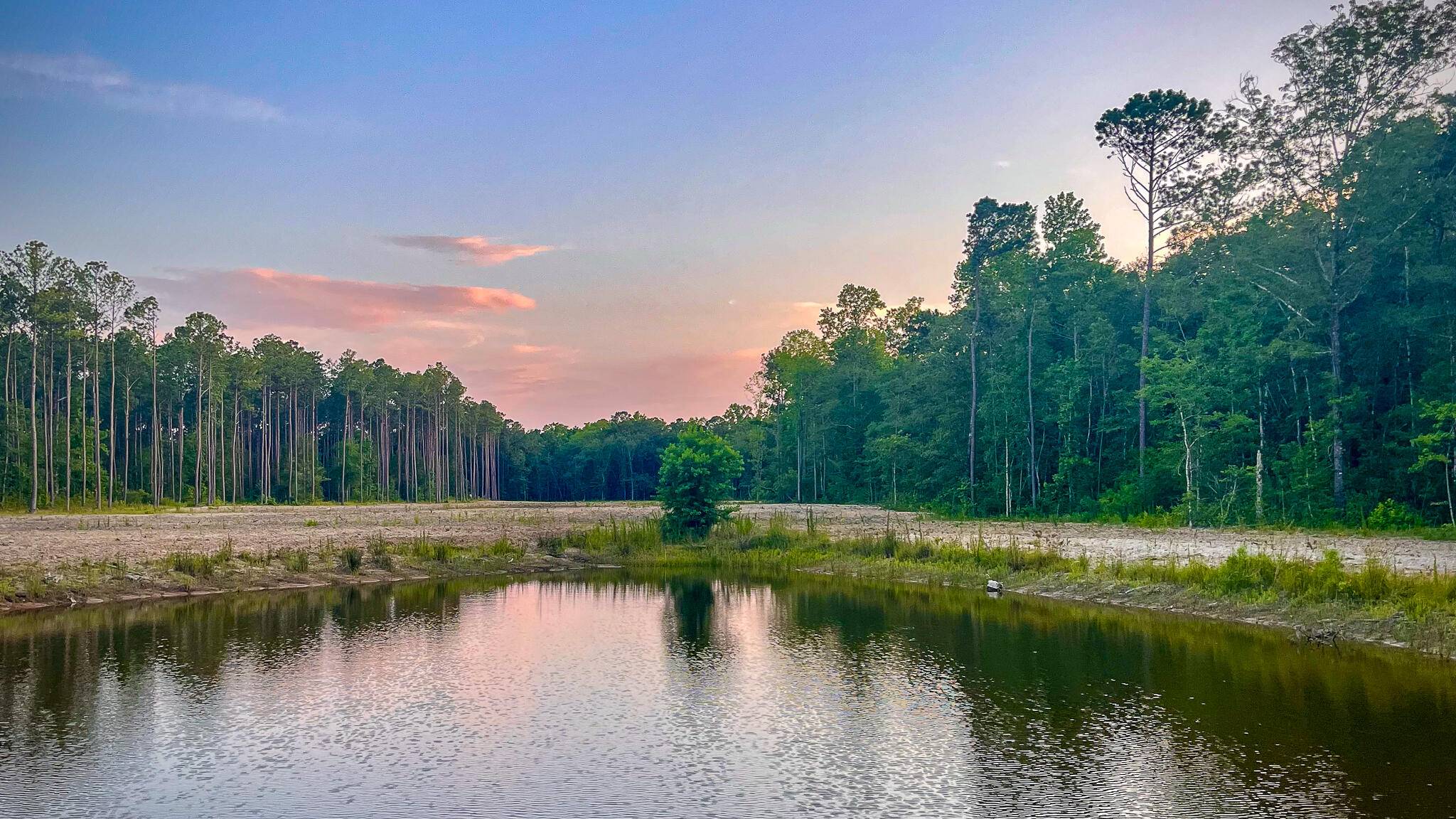 Mcclellanville, SC 29458,1515 7 Mile Rd