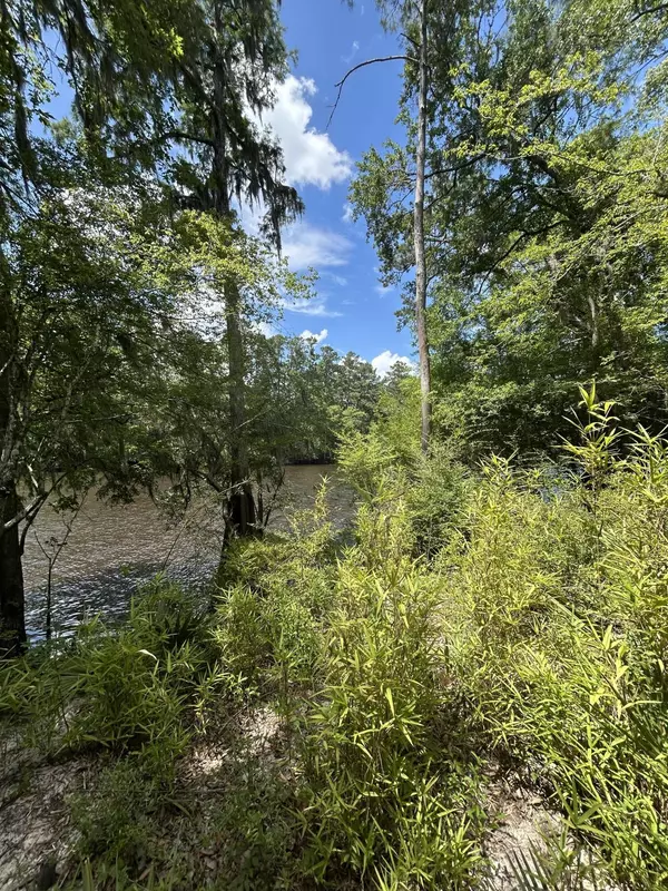 Ridgeville, SC 29472,00 Shad Ln