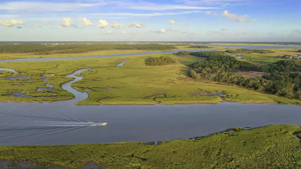 Charleston, SC 29492,733 Hartey Street