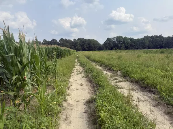 Wagener, SC 29164,Qaf C3 Rainbow Dr #Qaf C3