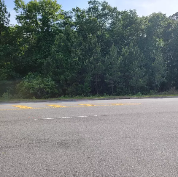 Mount Pleasant, SC 29466,0000 Hamlin Rd