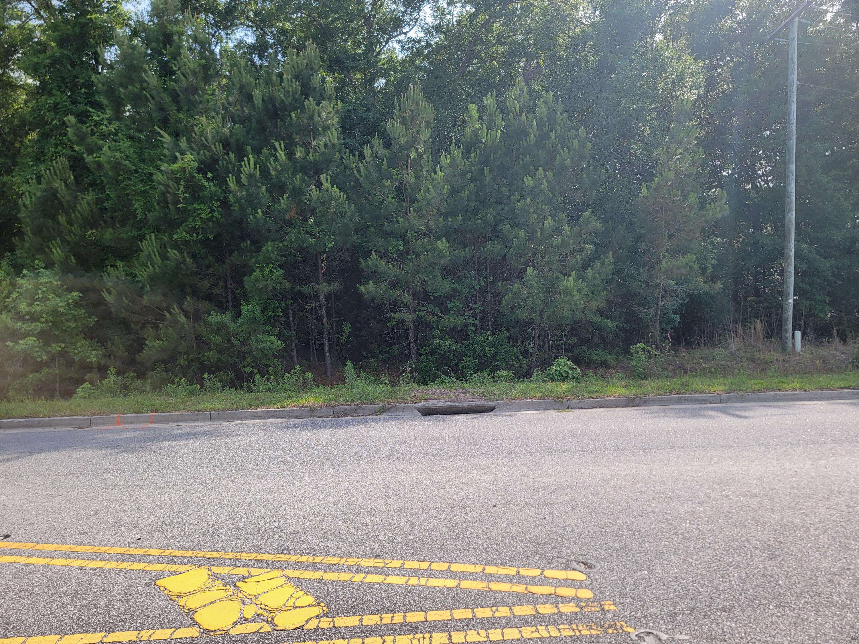 Mount Pleasant, SC 29466,0000 Hamlin Rd