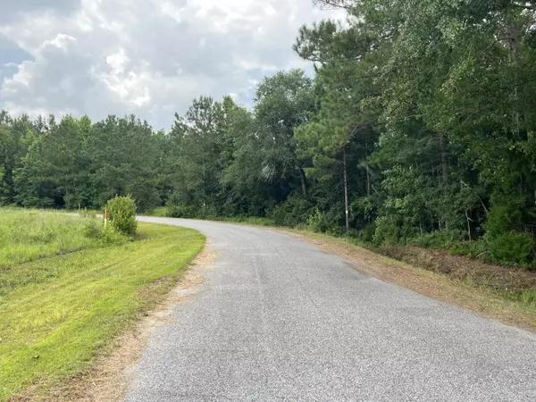 Walterboro, SC 29488,0 Carolette Ct