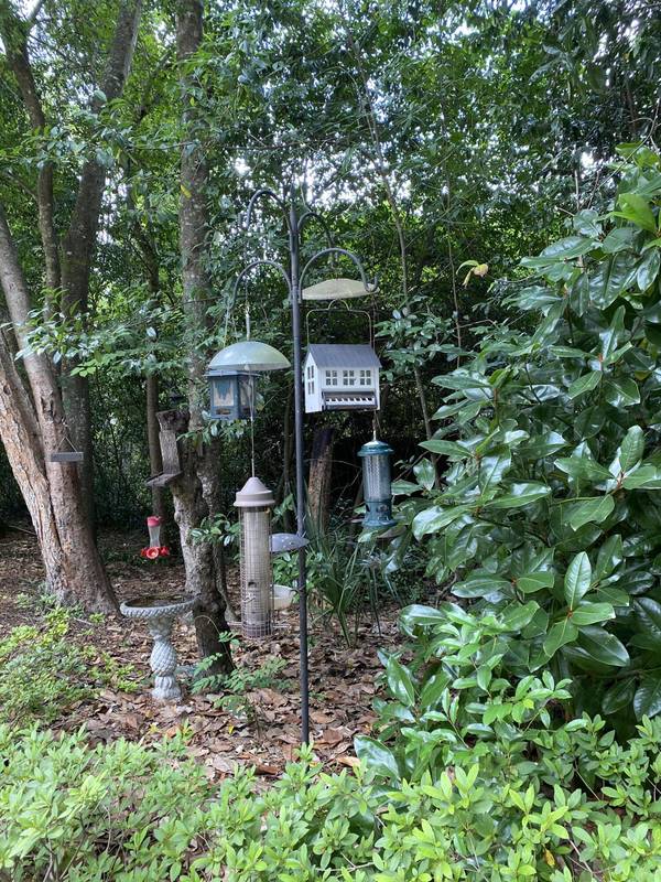 Summerville, SC 29483,523 W Carolina Ave