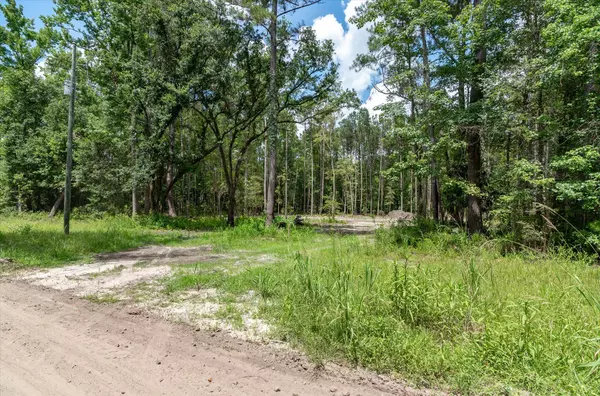 98 Manatee Ln, Green Pond, SC 29446