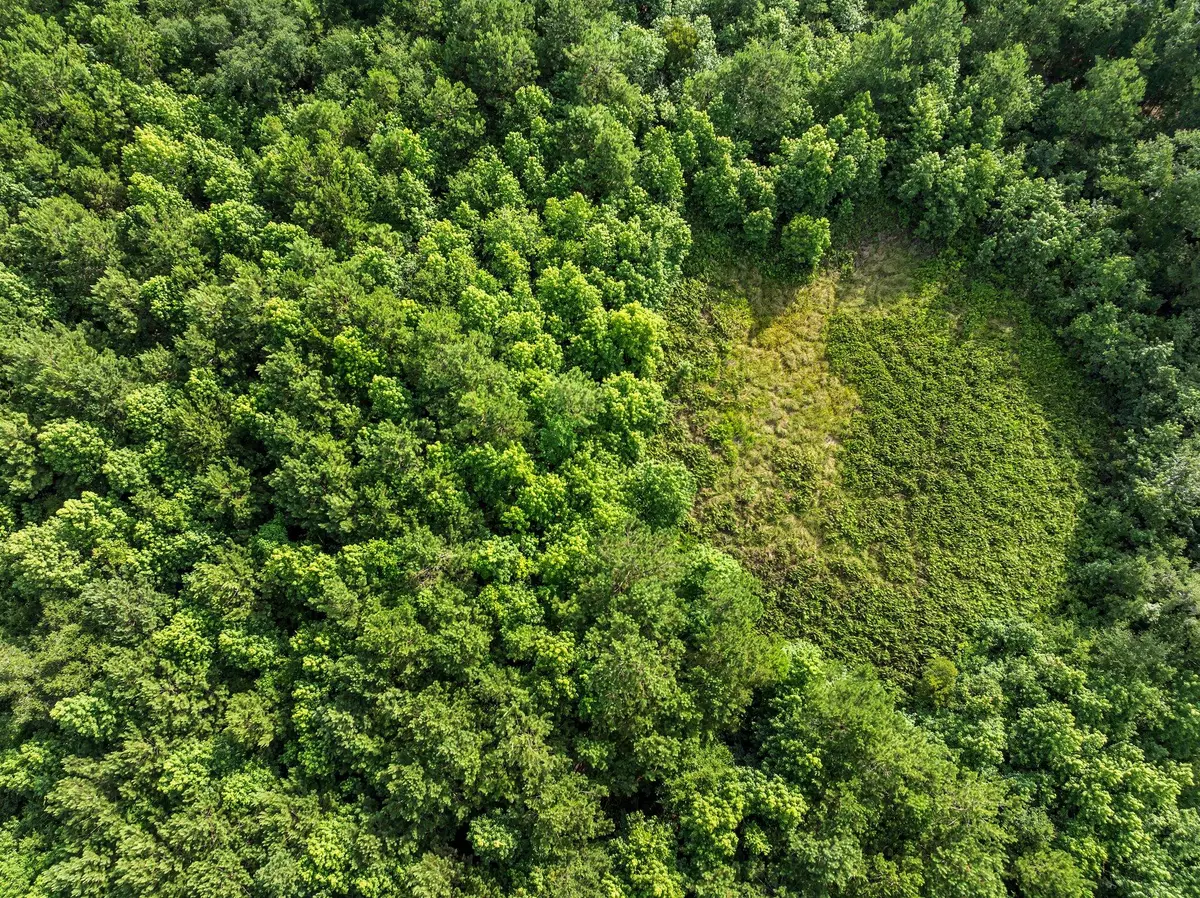 Hollywood, SC 29449,0 Oakville Rd