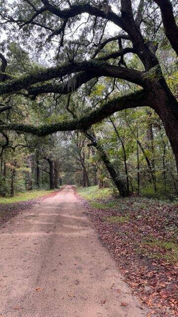 Mcclellanville, SC 29458,8455 Old Georgetown Rd