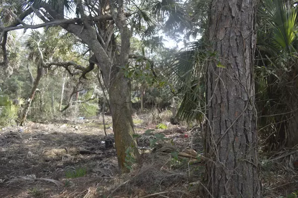 Folly Beach, SC 29439,916 E Ashley Ave