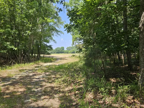 Summerton, SC 29148,Lot 2A M W Rickenbaker Rd