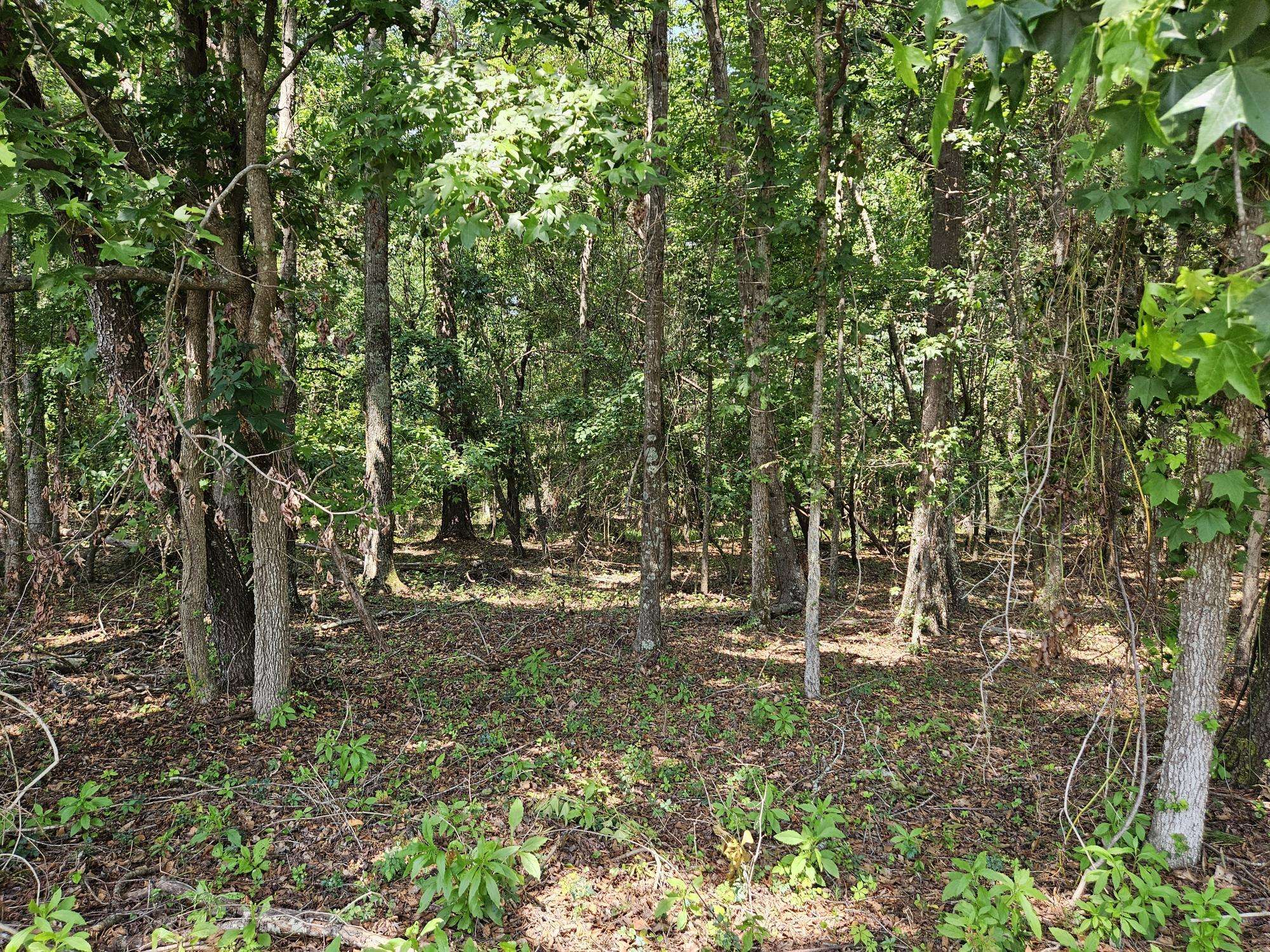 Summerton, SC 29148,Lot 2A M W Rickenbaker Rd