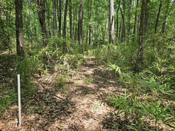 Summerton, SC 29148,Lot 2A M W Rickenbaker Rd