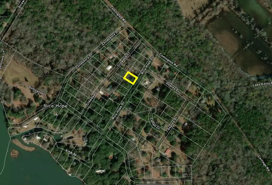 118 Rice Hope Dr, Moncks Corner, SC 29461