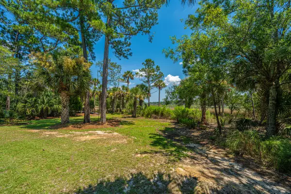 Mount Pleasant, SC 29466,3335 Cottonfield Dr
