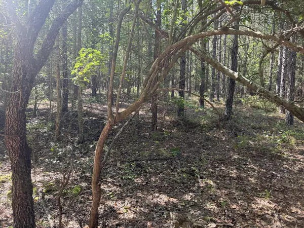 Westville, SC 29175,Hhf 1 Old Georgetown Road W #Hhf 1