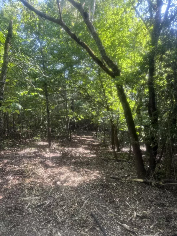 Westville, SC 29175,Hhf 2 Old Georgetown Road W #Hhf 2
