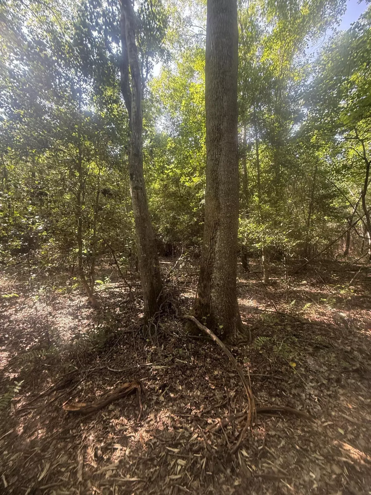 Westville, SC 29175,Hhf 6 Hickory Head Rd #Hhf6