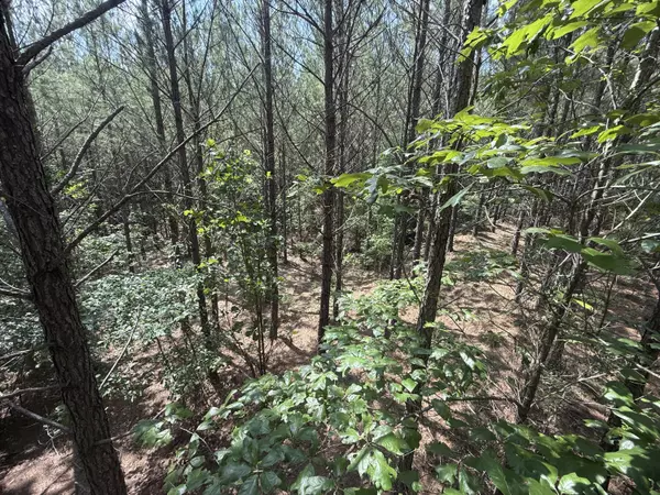 Westville, SC 29175,Hhf 6 Hickory Head Rd #Hhf6