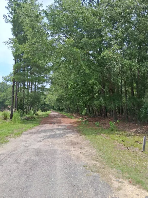 Adams Run, SC 29426,8070 Williford Rd