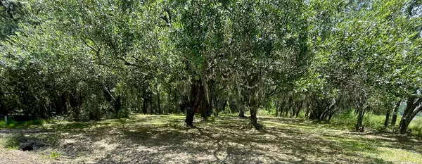 15 B Beagle Club Rd, Meggett, SC 29449