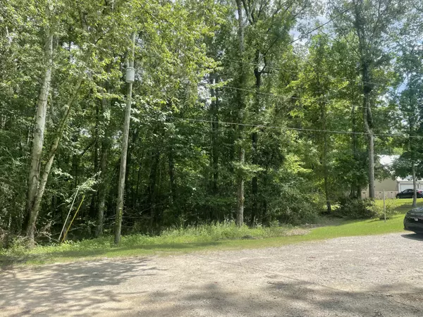 Summerville, SC 29483,21 Mary Ellie Dr