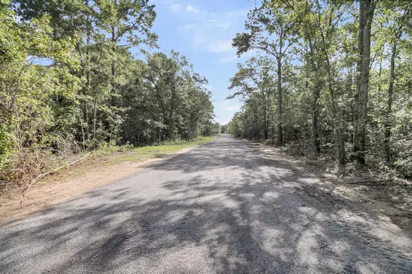 Awendaw, SC 29429,Lot 5 Giddyup Ln