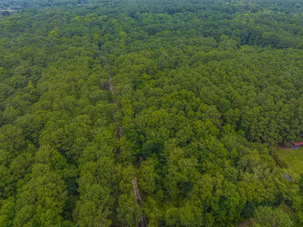 Wadmalaw Island, SC 29487,0 Geneva Shaw Ln