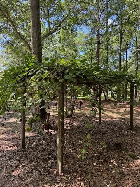 Eutawville, SC 29048,133 Rutledge Dr