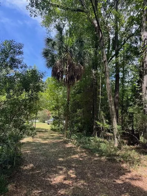 Eutawville, SC 29048,00 Rutledge Dr