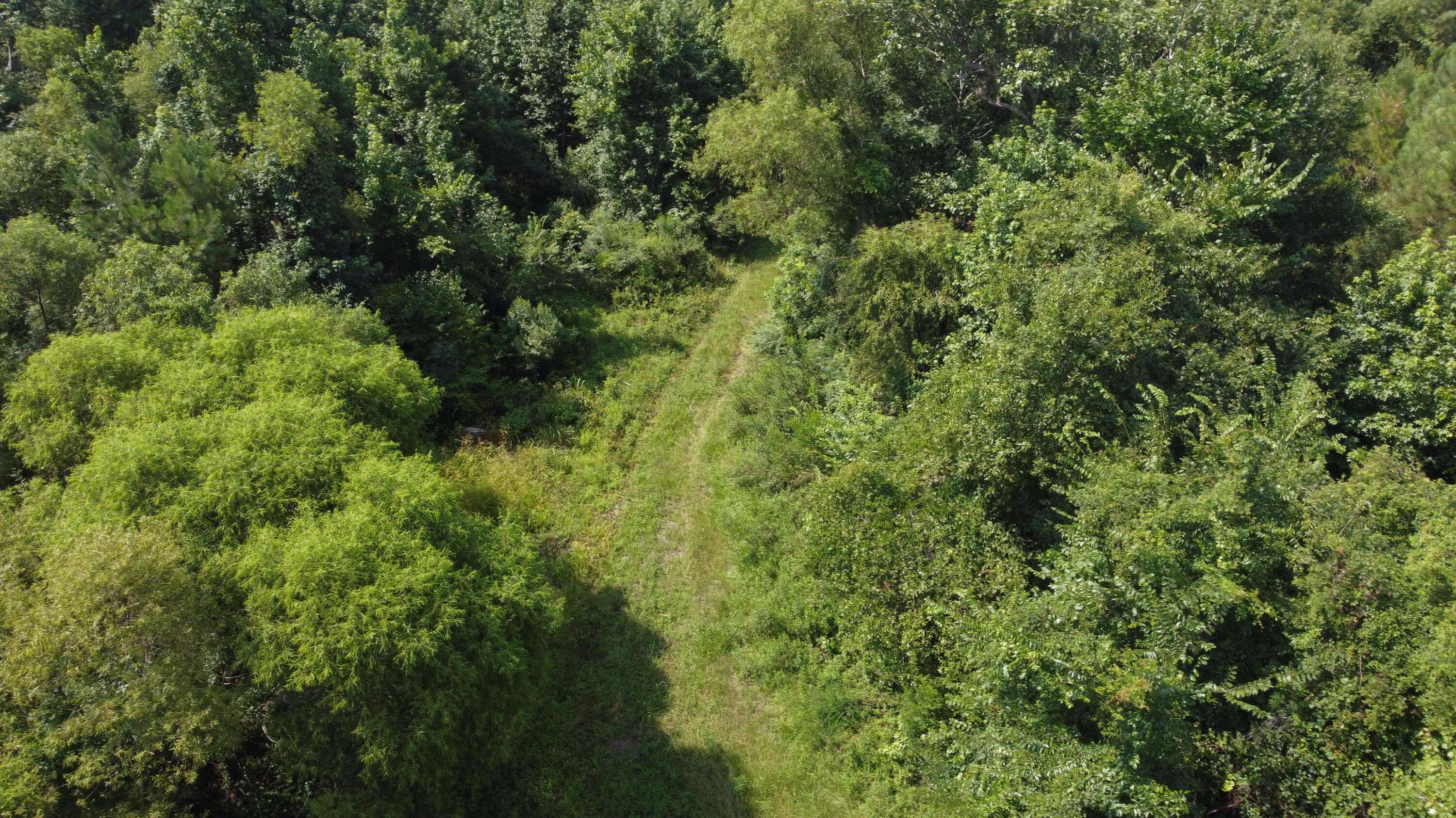 Ridgeville, SC 29472,0 Rudd Rd